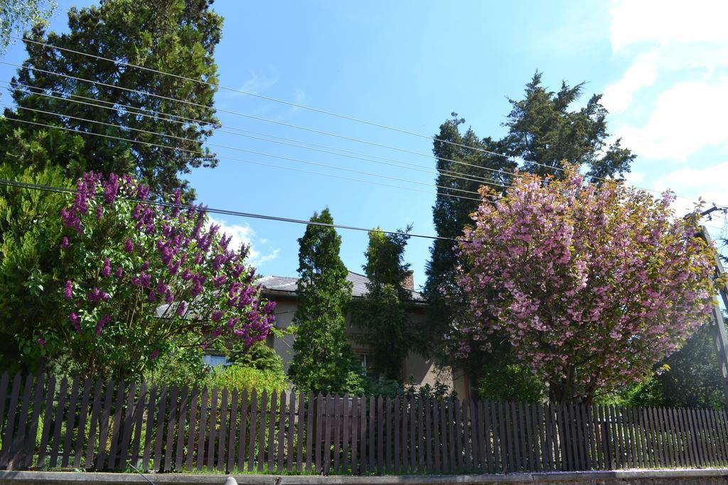 Vár-lak Vendégház Szendro Extérieur photo