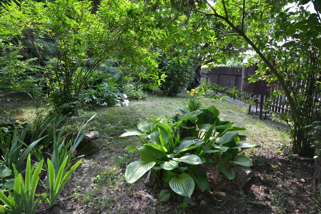 Vár-lak Vendégház Szendro Extérieur photo